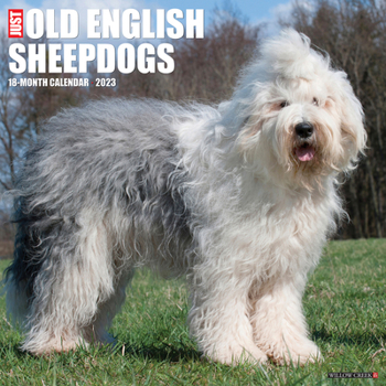 Calendar Just Old English Sheepdogs 2023 Wall Calendar Book