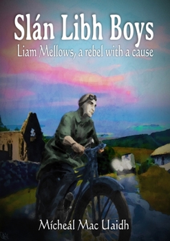 Paperback Slán Libh Boys Book