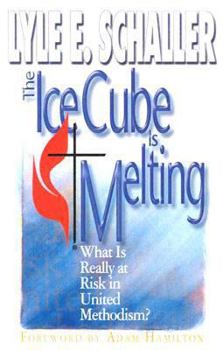 Paperback The Ice Cube is Melting: What is Really at Risk in United Methodism? Book