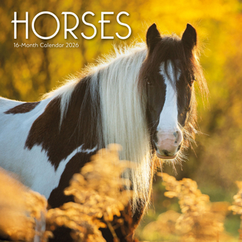 2026 Horses Wall Calendar