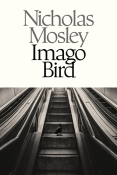 Imago Bird