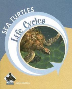 Sea Turtles - Book  of the Life Cycles