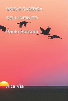 Paperback Breve Ricerca Dell'infinito [Italian] Book