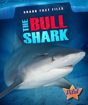 The Bull Shark - Book  of the Shark Fact Files