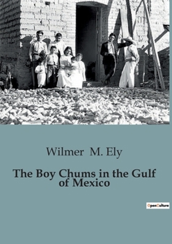 Paperback The Boy Chums in the Gulf of Mexico Book