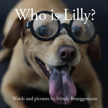 Paperback Who is Lilly? Book