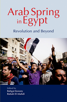Hardcover Arab Spring in Egypt: Revolution and Beyond Book