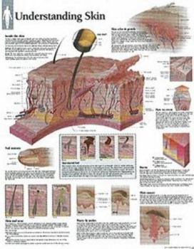 Misc. Understanding Skin Chart: Wall Chart Book