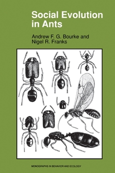 Paperback Social Evolution in Ants Book