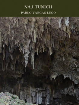Hardcover Pablo Vargas Lugo: Naj Tunich Book