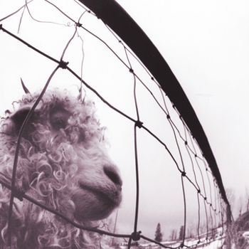 Vinyl Vs. (30th Anniversary Edition) 2LP 180g 45 RPM Book