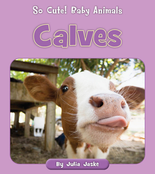 Paperback Calves Book