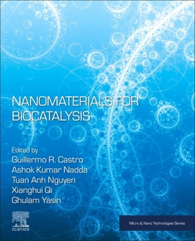 Paperback Nanomaterials for Biocatalysis Book