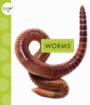 Worms - Book  of the Spot Creepy Crawlies