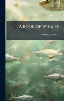Hardcover A Book of Whales Book