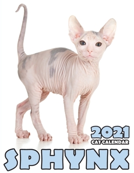 Paperback Sphynx 2021 Cat Calendar Book