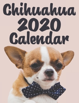 Paperback Chihuahua Calendar 2020 - Dogs & Puppies - 12 Month Calendar: Monthly Wall or Desk Calendar for Chihuahua Breed Fans - Funny Quotes & Pictures Book