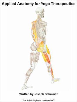 Spiral-bound Applied Anatomy for Yoga Therapeutics Book