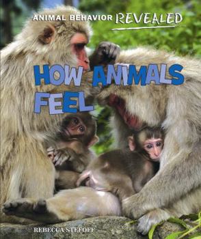 How Animals Feel - Book  of the Animal Behavior Revealed