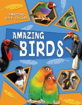 Library Binding Amazing Birds Book
