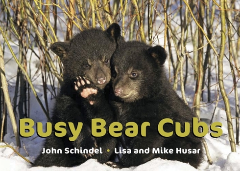 Board book Busy Bear Cubs Book