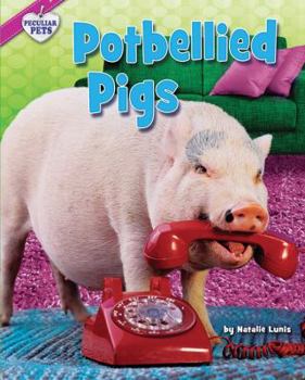 Potbellied Pigs - Book  of the Peculiar Pets