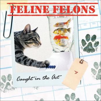 Hardcover Feline Felons: Caught in the ACT Book