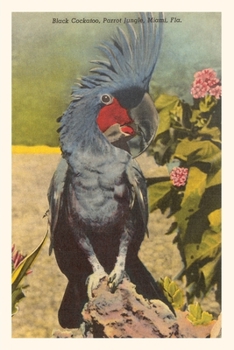 Vintage Journal Black Cockatoo, Miami, Florida