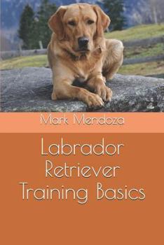 Labrador Retriever Training Basics