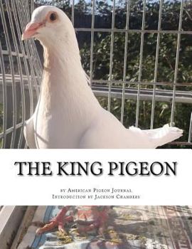 Paperback The King Pigeon Book