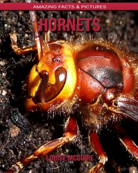 Paperback Hornets: Amazing Facts & Pictures Book
