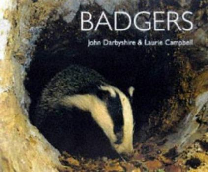 Paperback Badgers Book