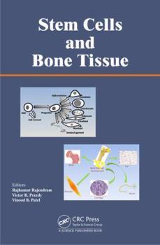 Hardcover Stem Cells and Bone Tissue Book