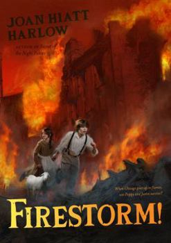 Hardcover Firestorm! Book