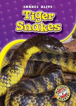 Library Binding Tiger Snakes Book