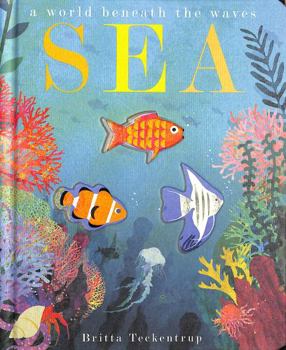Sea: A World Beneath the Waves