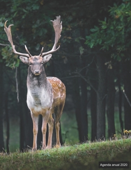 Agenda anual 2020: Agenda anual para 2020, 12 meses, agenda de 52 semanas  con tareas y metas; formato A4+; motivo: Hirsch (Spanish Edition)