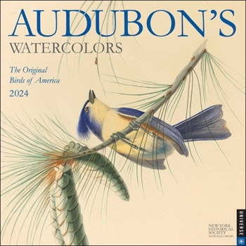 Calendar Audubon's Watercolors 2024 Wall Calendar Book