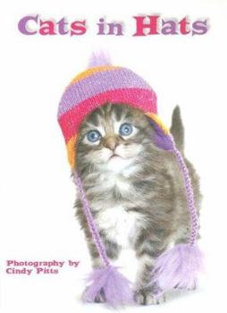 Cats in Hats Boxed Notecards