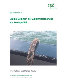 Paperback Online-Delphi in der Zukunftsforschung zur Sozialpolitik [German] Book