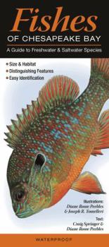 Fishes of Chesapeake Bay: A Guide to Freshwater & Saltwater Species