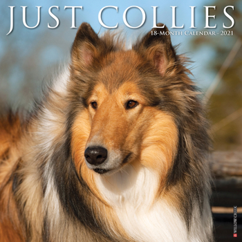 Calendar Just Collies 2021 Wall Calendar (Dog Breed Calendar) Book