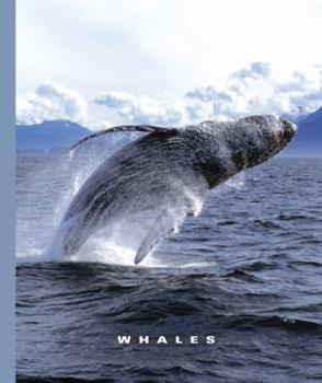 Library Binding Whales Book