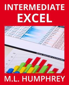 Paperback Intermediate Excel Book