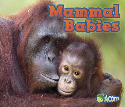 Mammal Babies - Book  of the Animal Babies