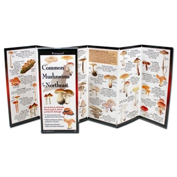 Common Mushrooms of the Northeast (Foldingguides