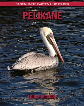 Pelikane: Sagenhafte Fakten und Bilder