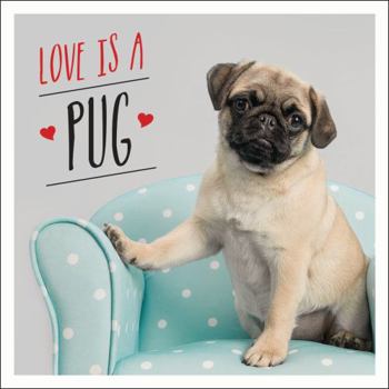 Hardcover Love is a Pug: A Pugtastic Celebration of The World's Cutest Dogs Book