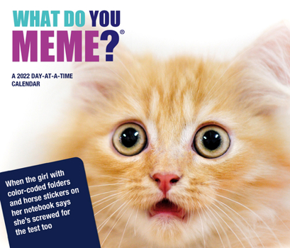 2022 What Do You Meme? Day-at-a-Time Box Calendar