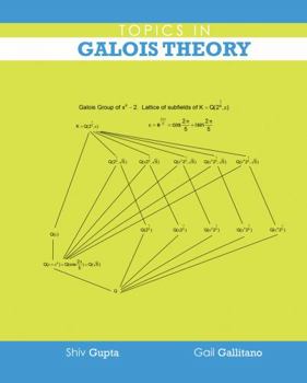 Hardcover Topics in Galois Theory Book